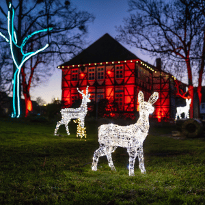 Lichterzauber SZ Bad 2024 (1)