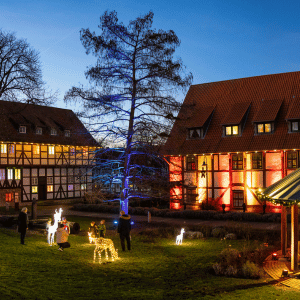 Lichterzauber SZ Bad 2024 (5)