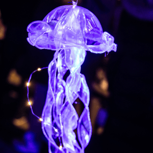 Light The Night SZ Lebenstedt 2024 (3)