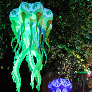 Light The Night SZ Lebenstedt 2024 (4)