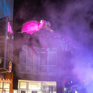 Light The Night SZ Lebenstedt 2024 (8)